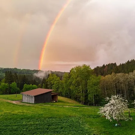 Chalet-loft Im Schwarzwaldhof Wutachblick *